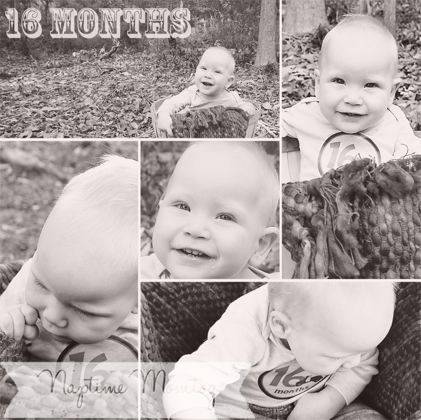 16-months