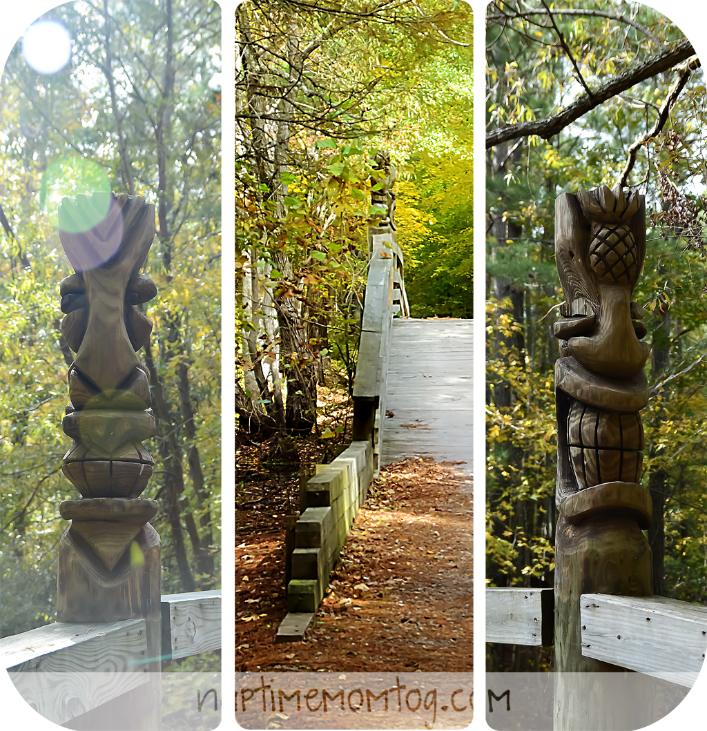 This or That Thursday