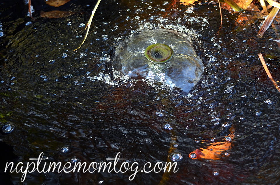 ntmtwebDSC_0939