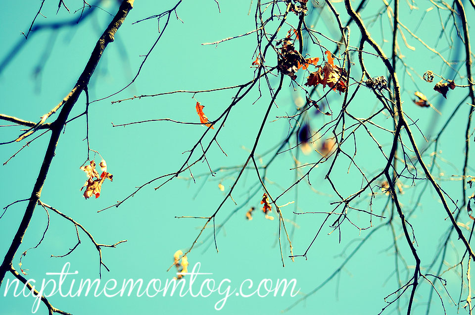 ntmtwebDSC_1097