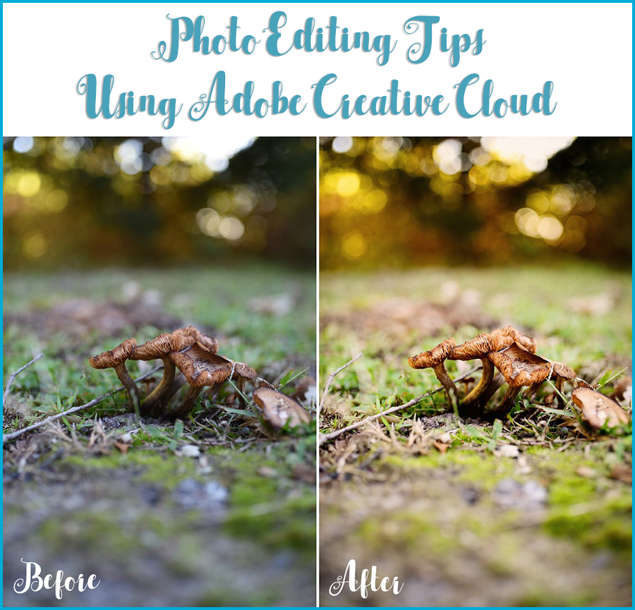 Photo Editing Tips Adobe Creative Cloud Whimsy & Hope