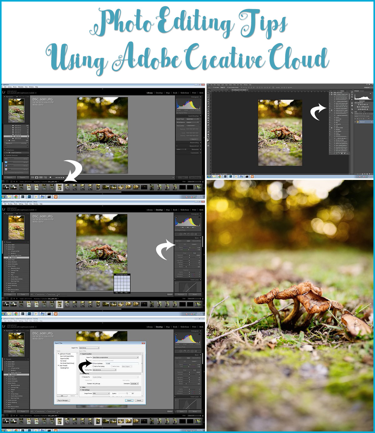 Basic Photo Editing Tips Photo-Editing-Tips - Sarah Halstead