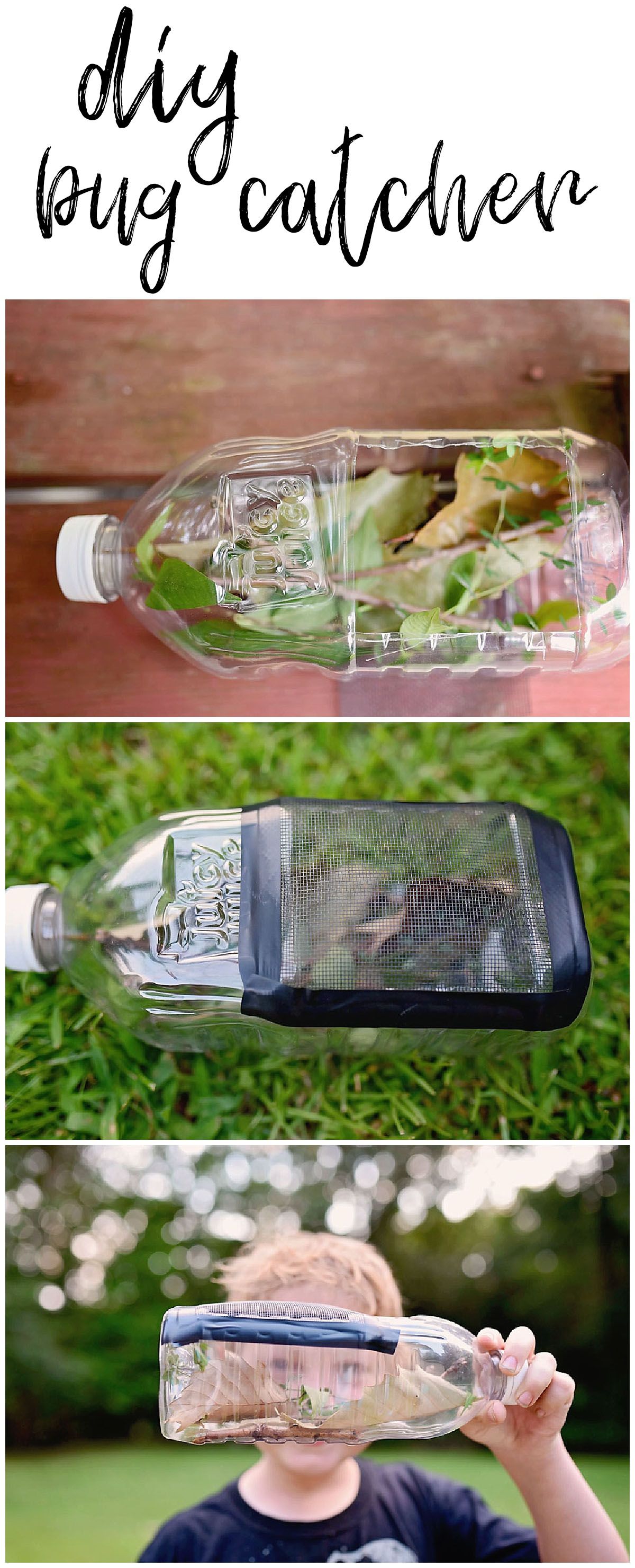 diy bug catcher Sarah Halstead