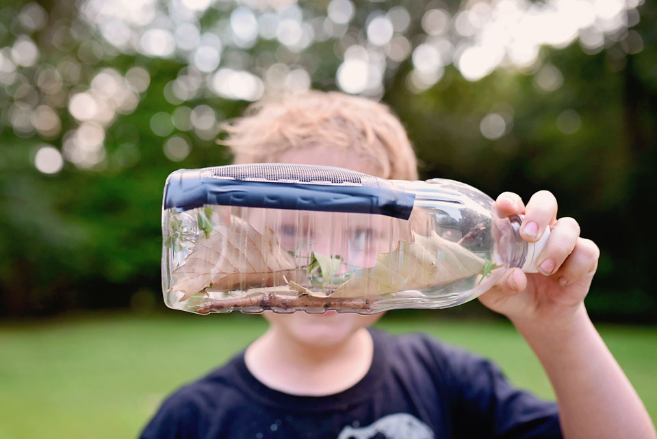 DIY Bug Catcher with Upcycled Juicy Juice Bottle Sarah Halstead